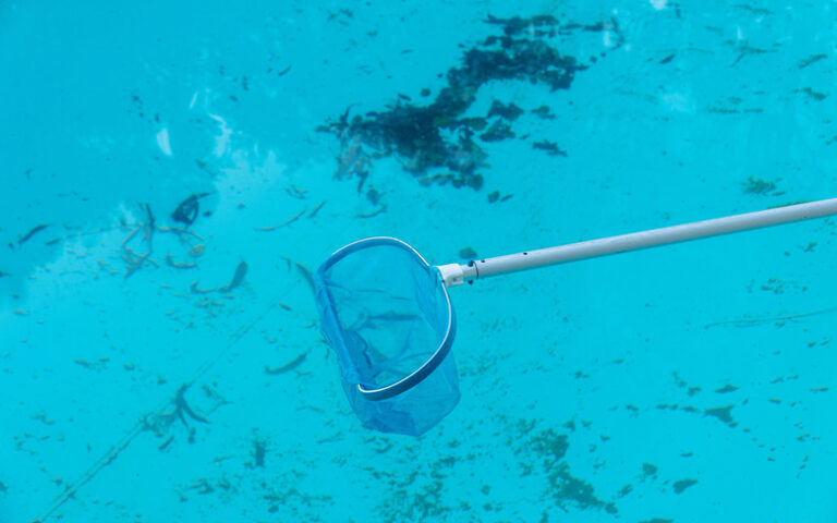 little red worms in pool